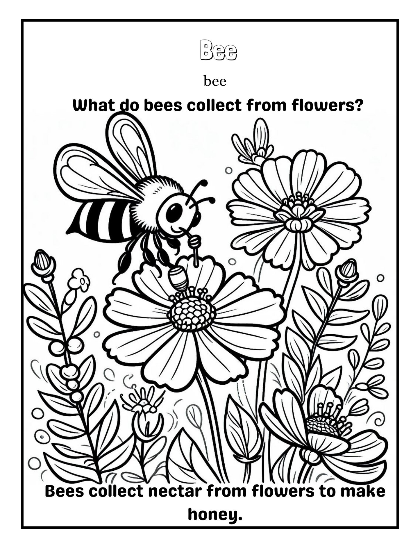 Insects: A coloring Adventure