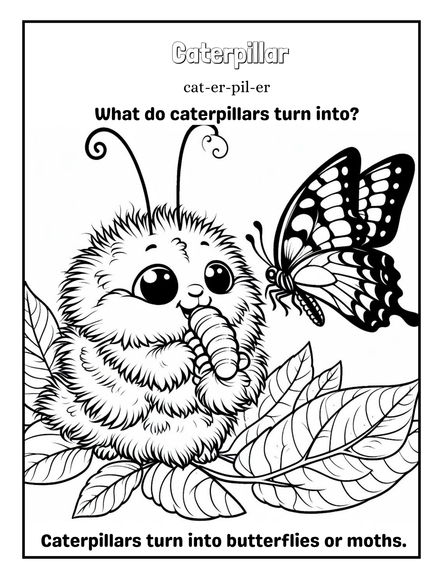Insects: A coloring Adventure