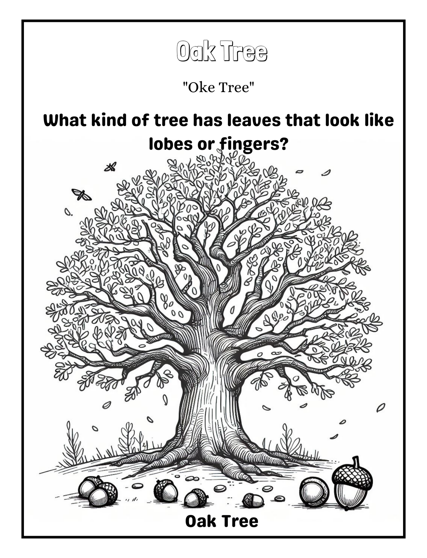 Nature's Palette: A Magical Tree Coloring Journey
