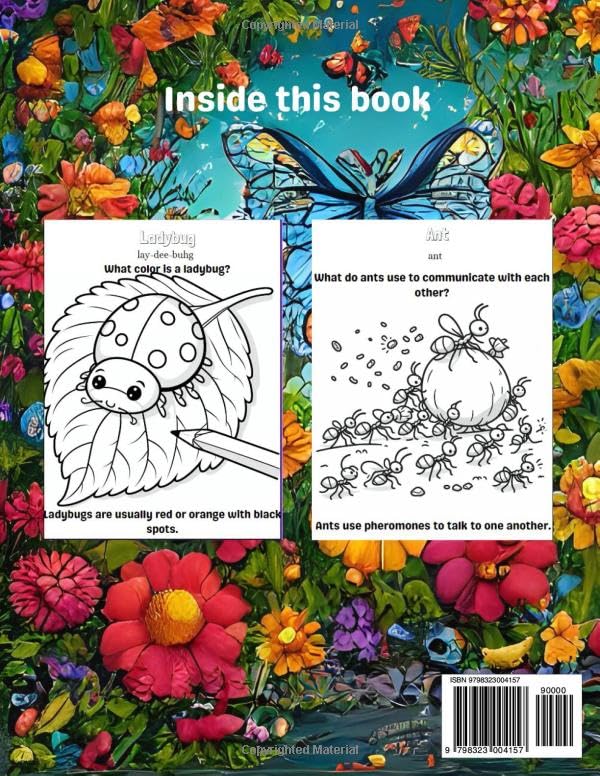 Insects: A coloring Adventure