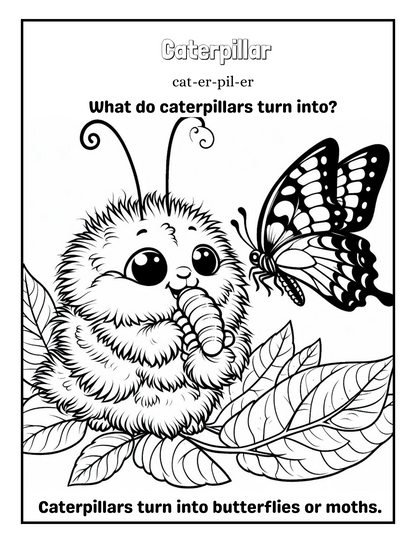 Insects: A coloring Adventure