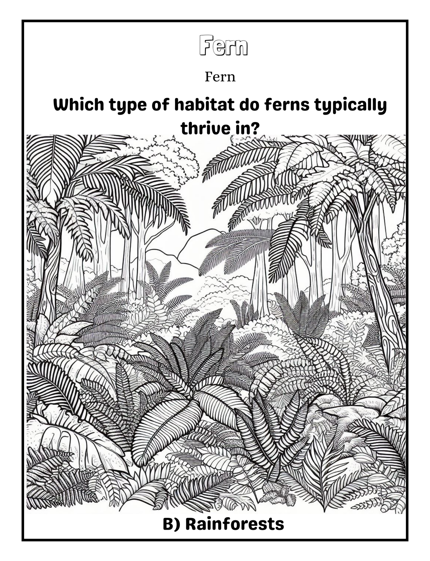 Floral Wonders: A floral coloring and learning journey