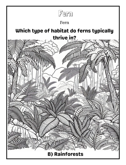 Floral Wonders: A floral coloring and learning journey