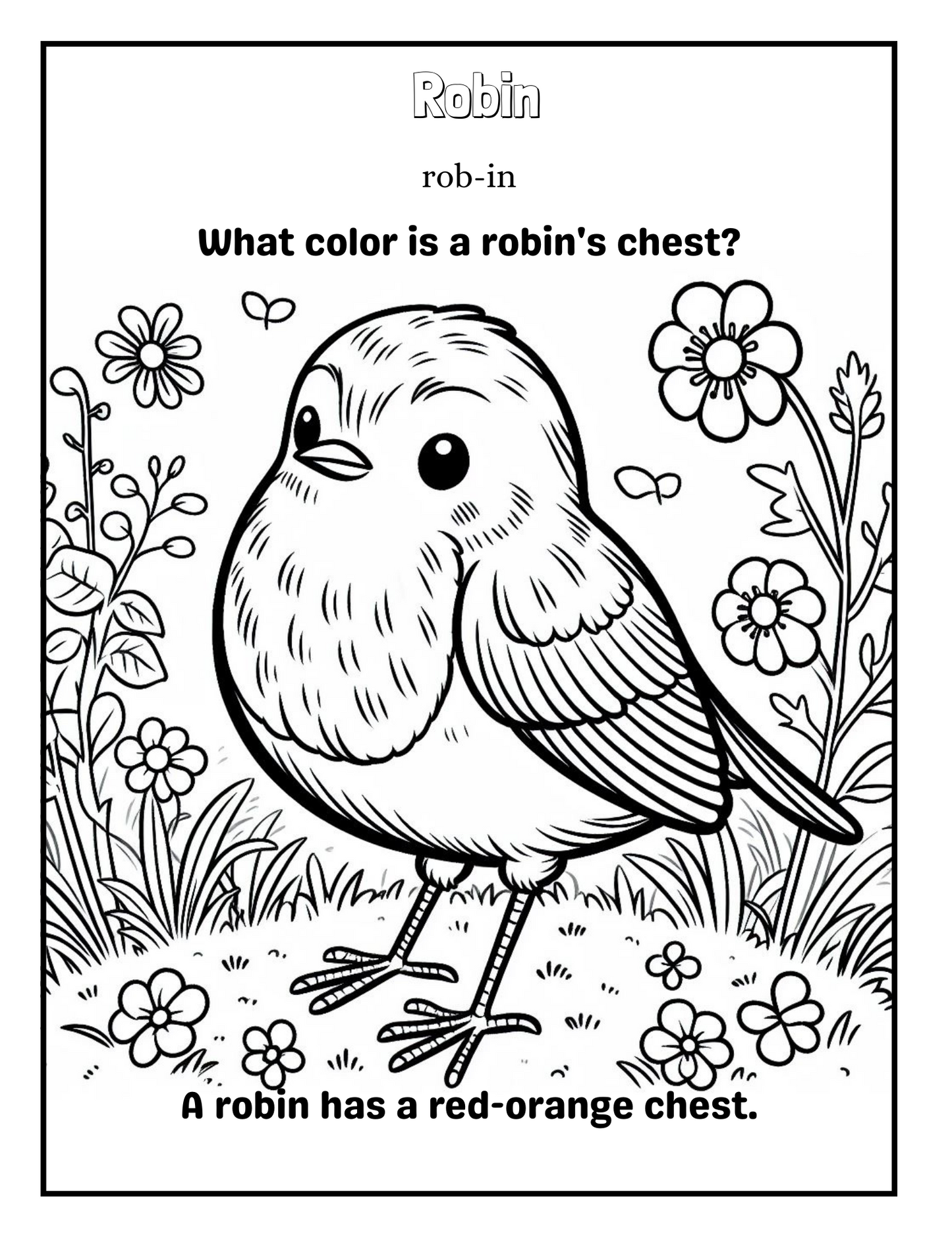 Bird Bonanza 1: A Coloring Adventure for Young Explorers