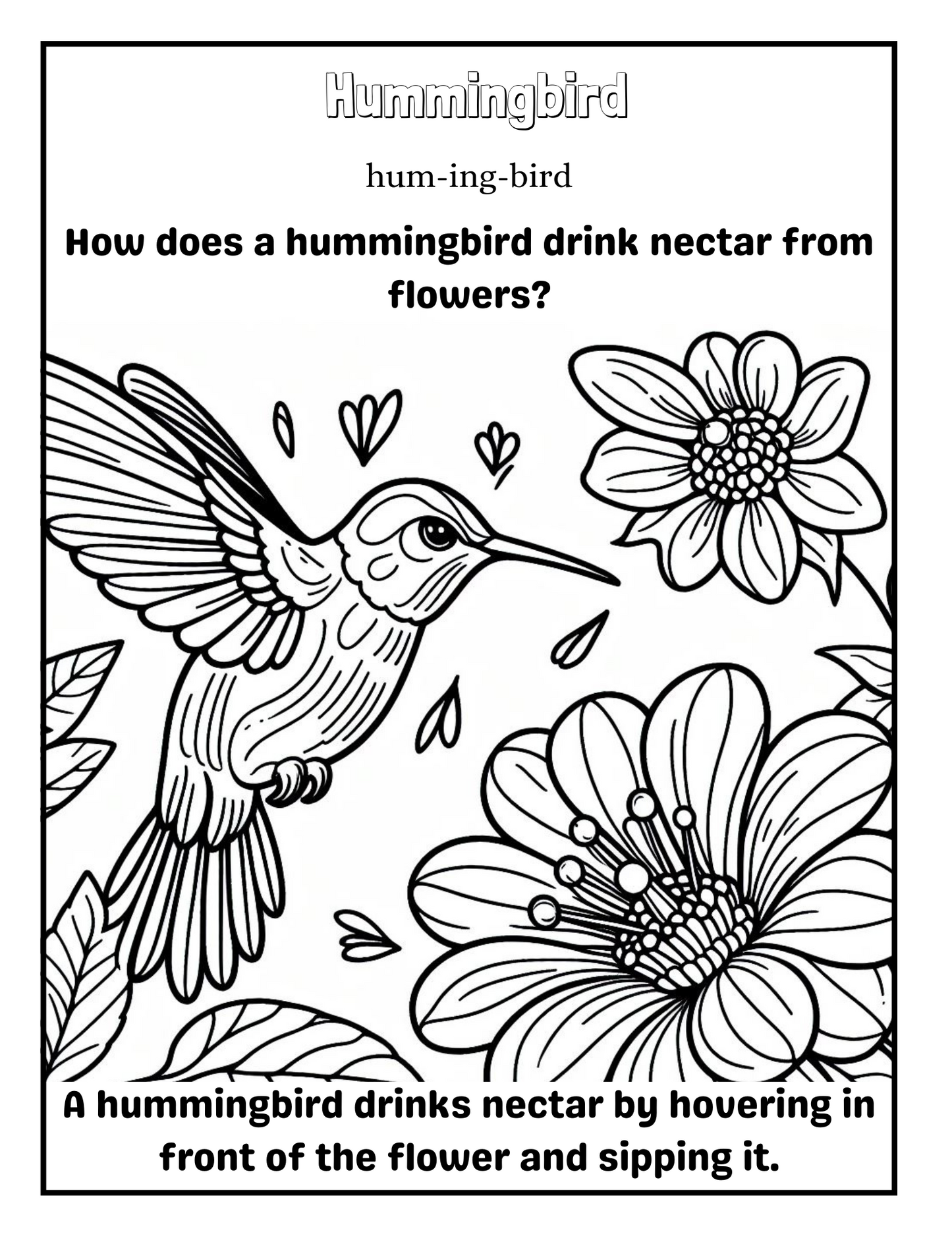Bird Bonanza 1: A Coloring Adventure for Young Explorers