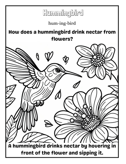 Bird Bonanza 1: A Coloring Adventure for Young Explorers