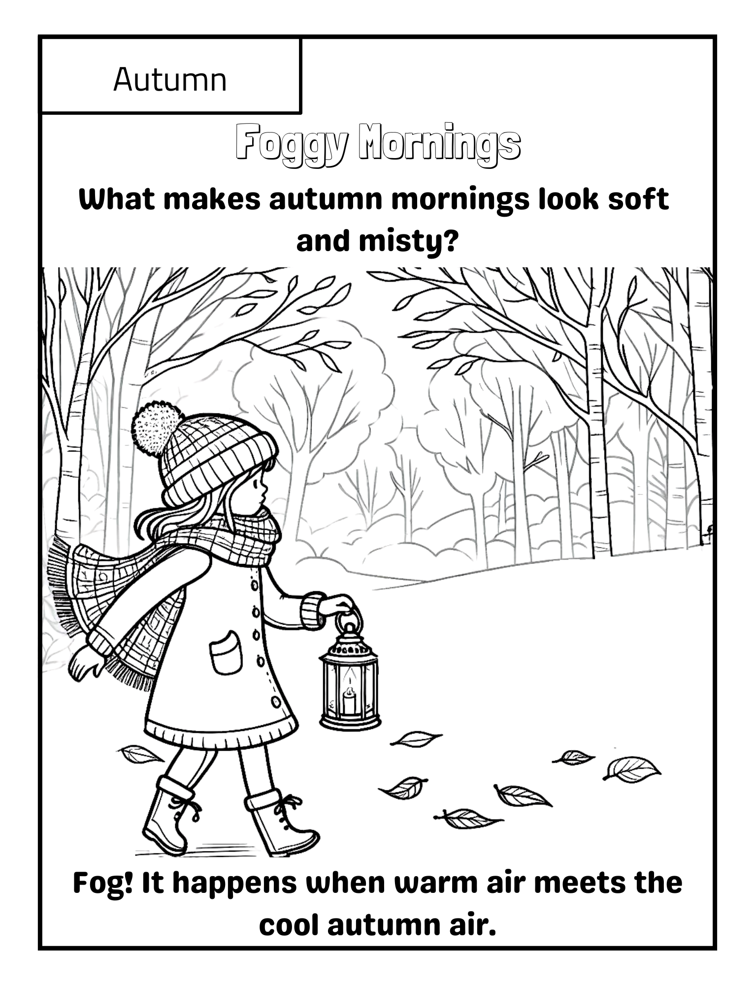 The Four Seasons: Spring, Summer, Fall & Winter Fun!